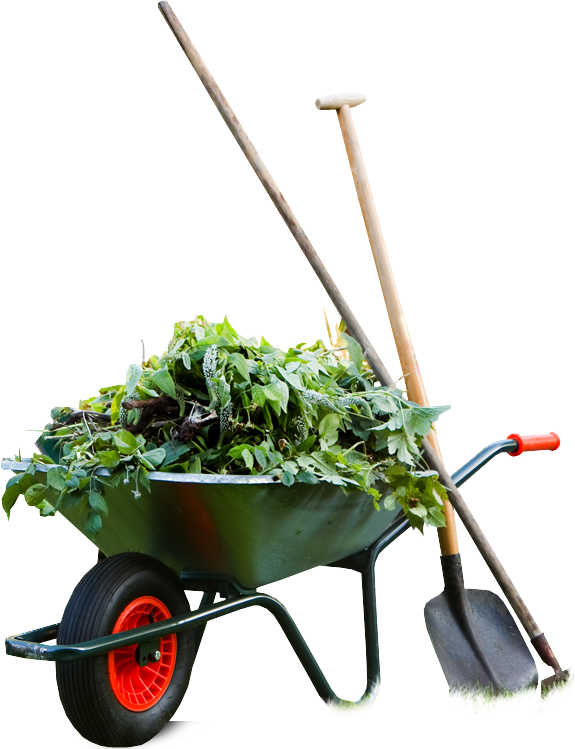 Schrabauer | Garten- und Landschaftsbau Schrabauer | Garten- und Landschaftsbau